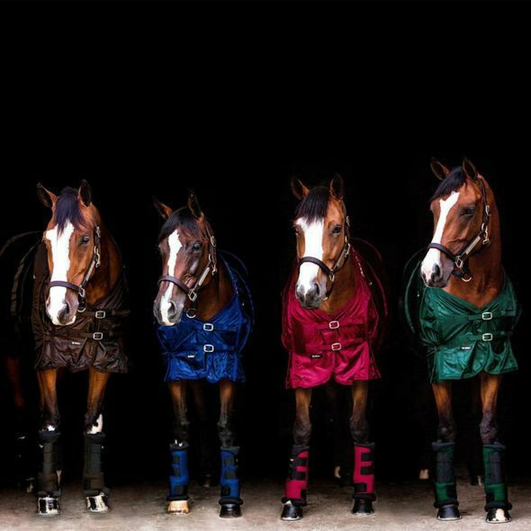 Gamaschen für Pferde Back on Track royal