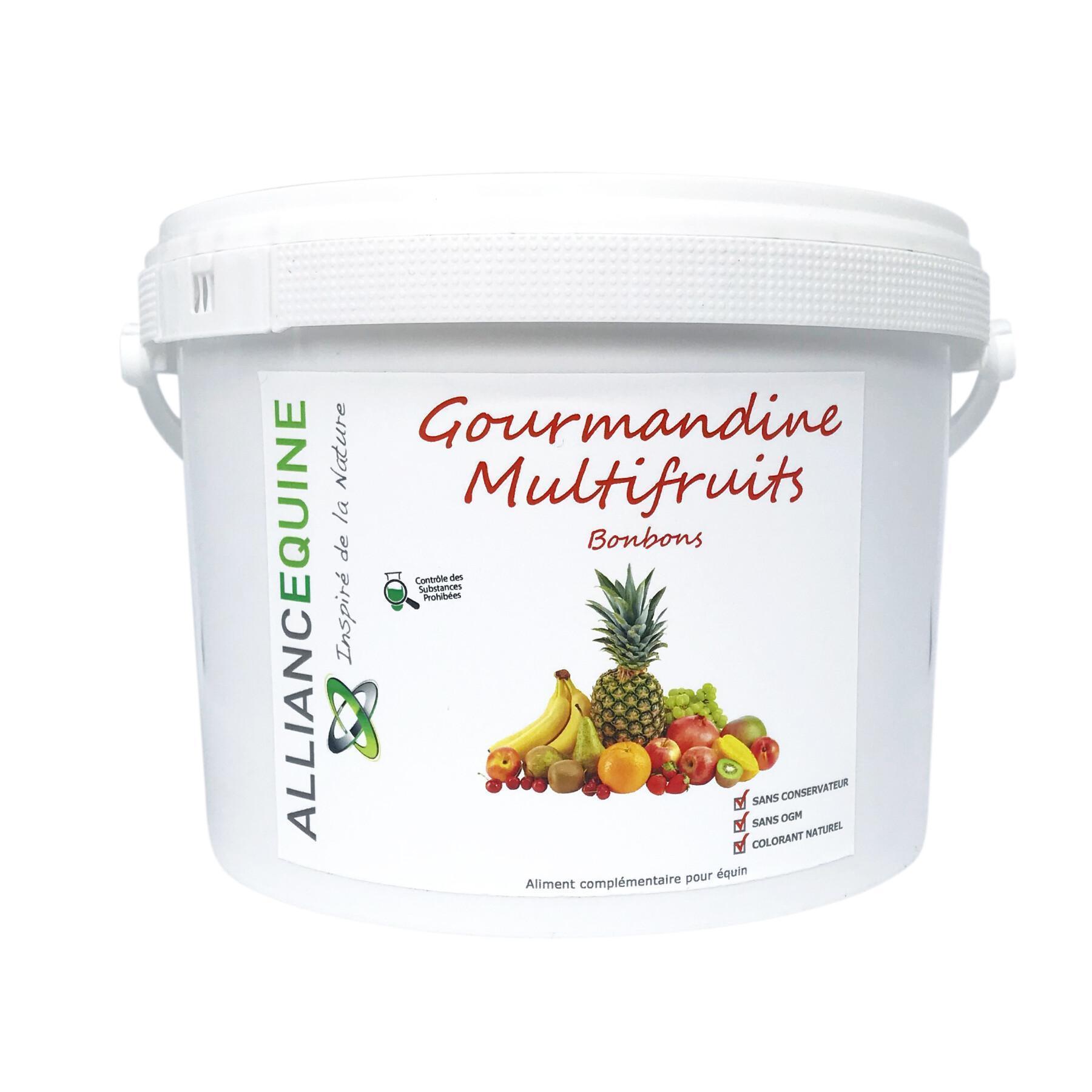 Gourmandine-Snacks für Pferde Alliance Equine Multifruits