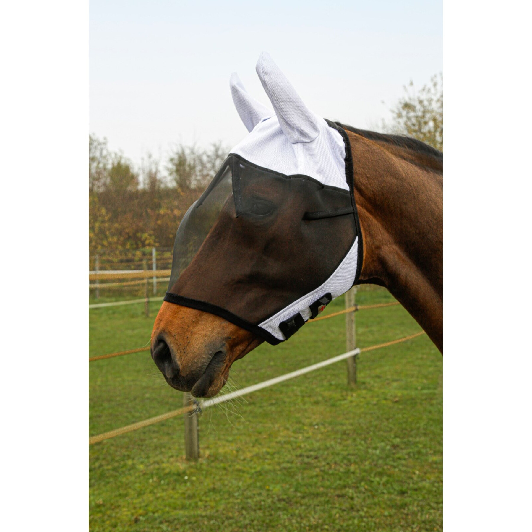 Fliegenmaske für Pferde mit Ohrenschutz Covalliero SuperFly