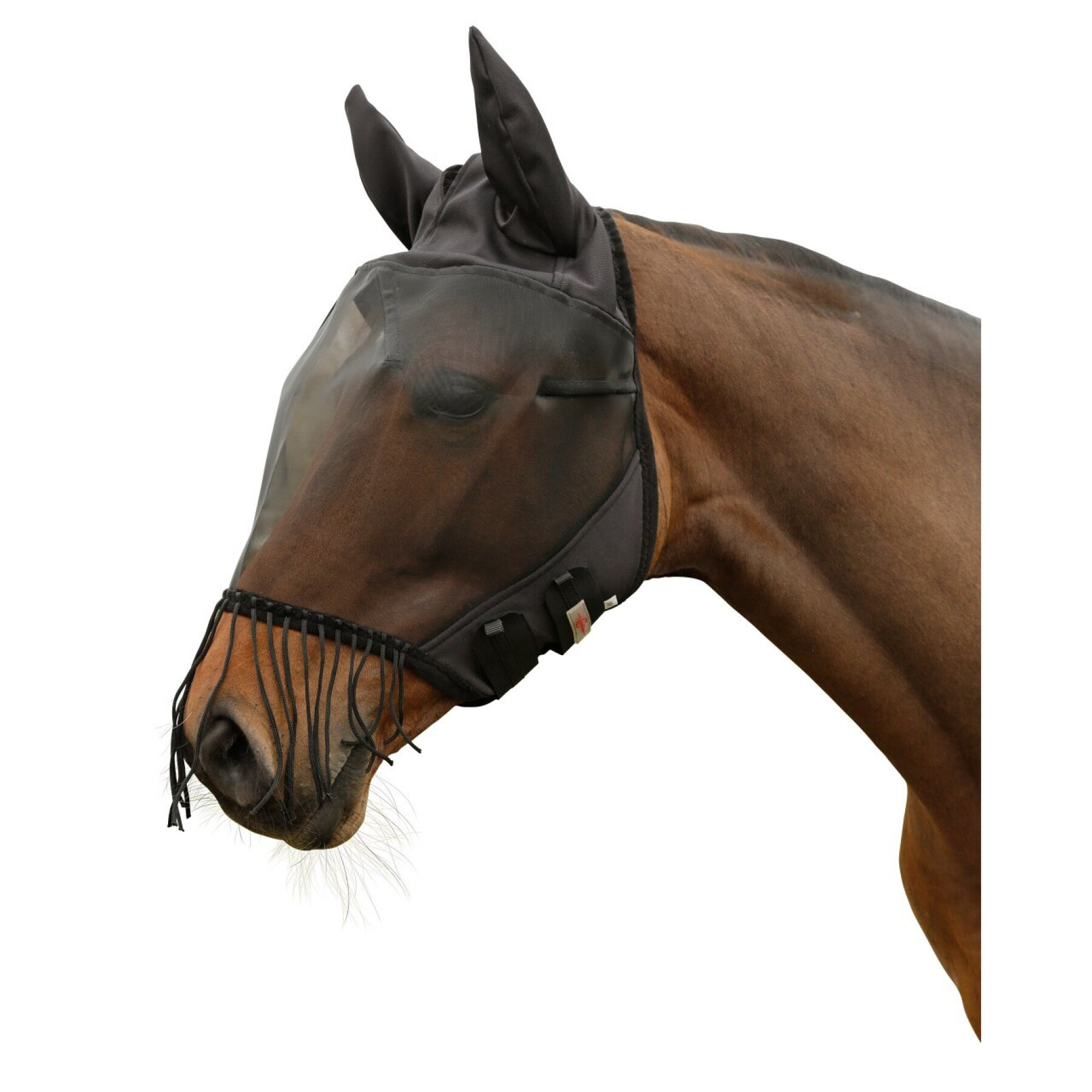 Fliegenmaske für Pferde mit Ohrenschutz und Fransen für die Nüstern Covalliero