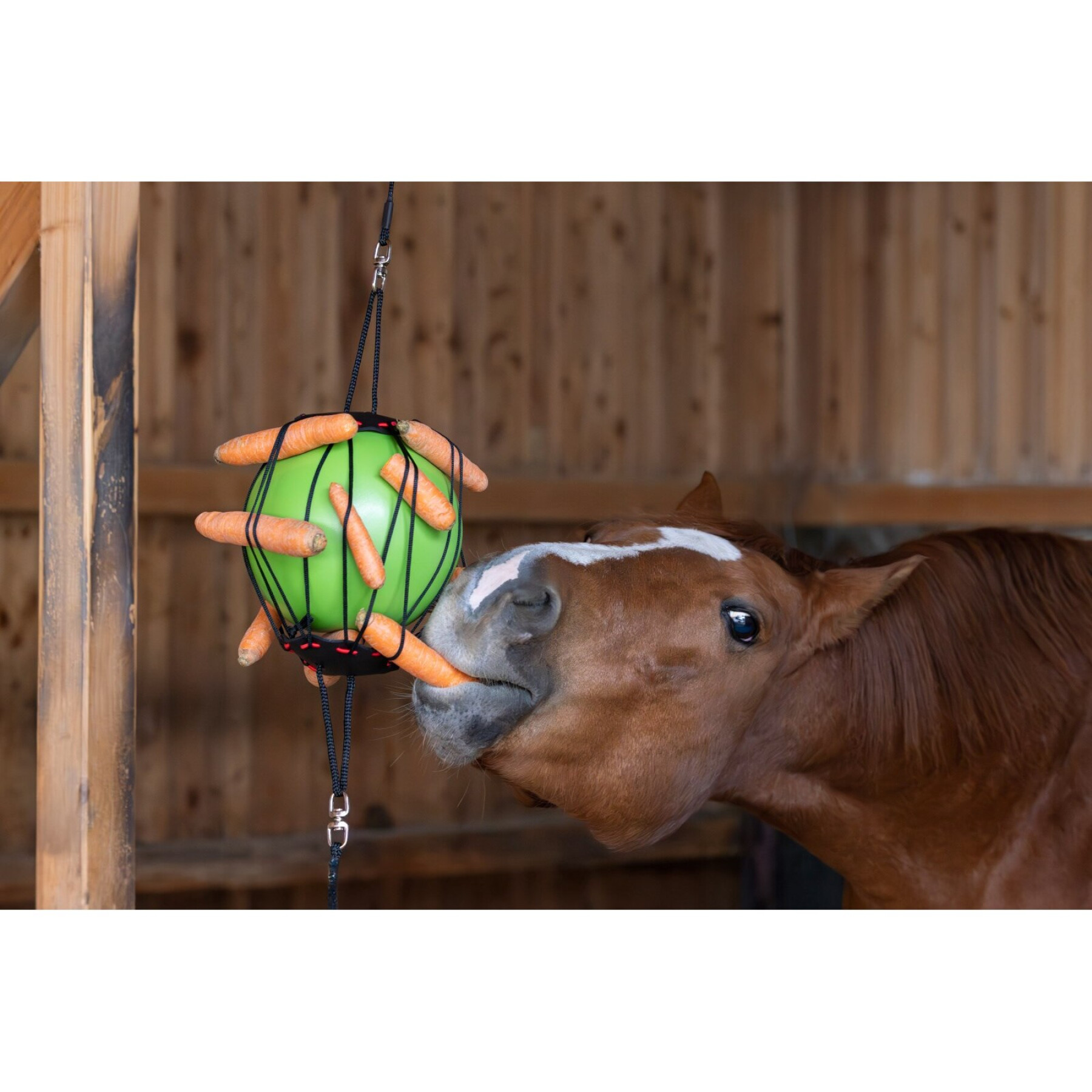 Pferdespielzeug Ball zum Aufhängen Covalliero