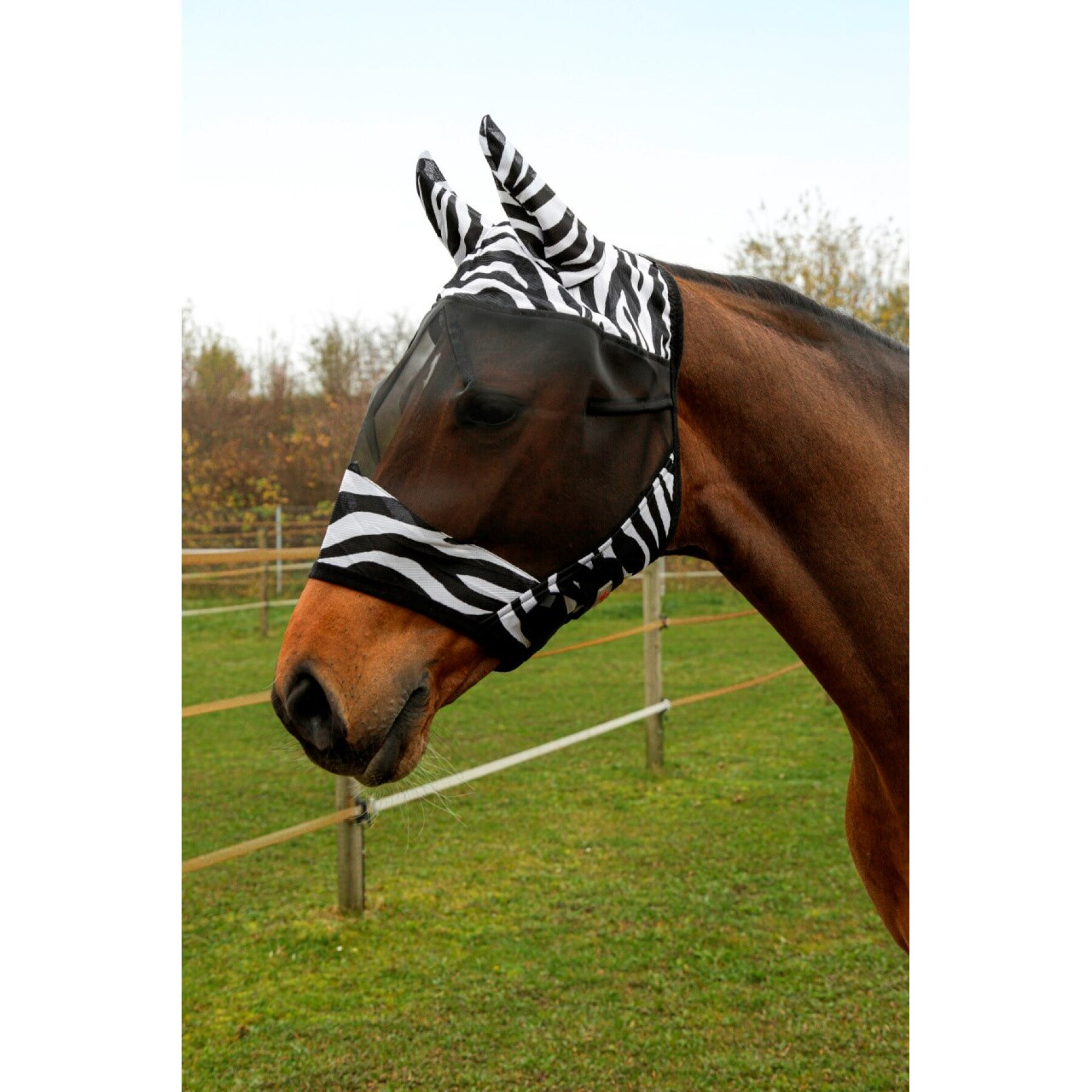 Fliegenmaske für Pferde mit Ohrenschutz Covalliero Zebra