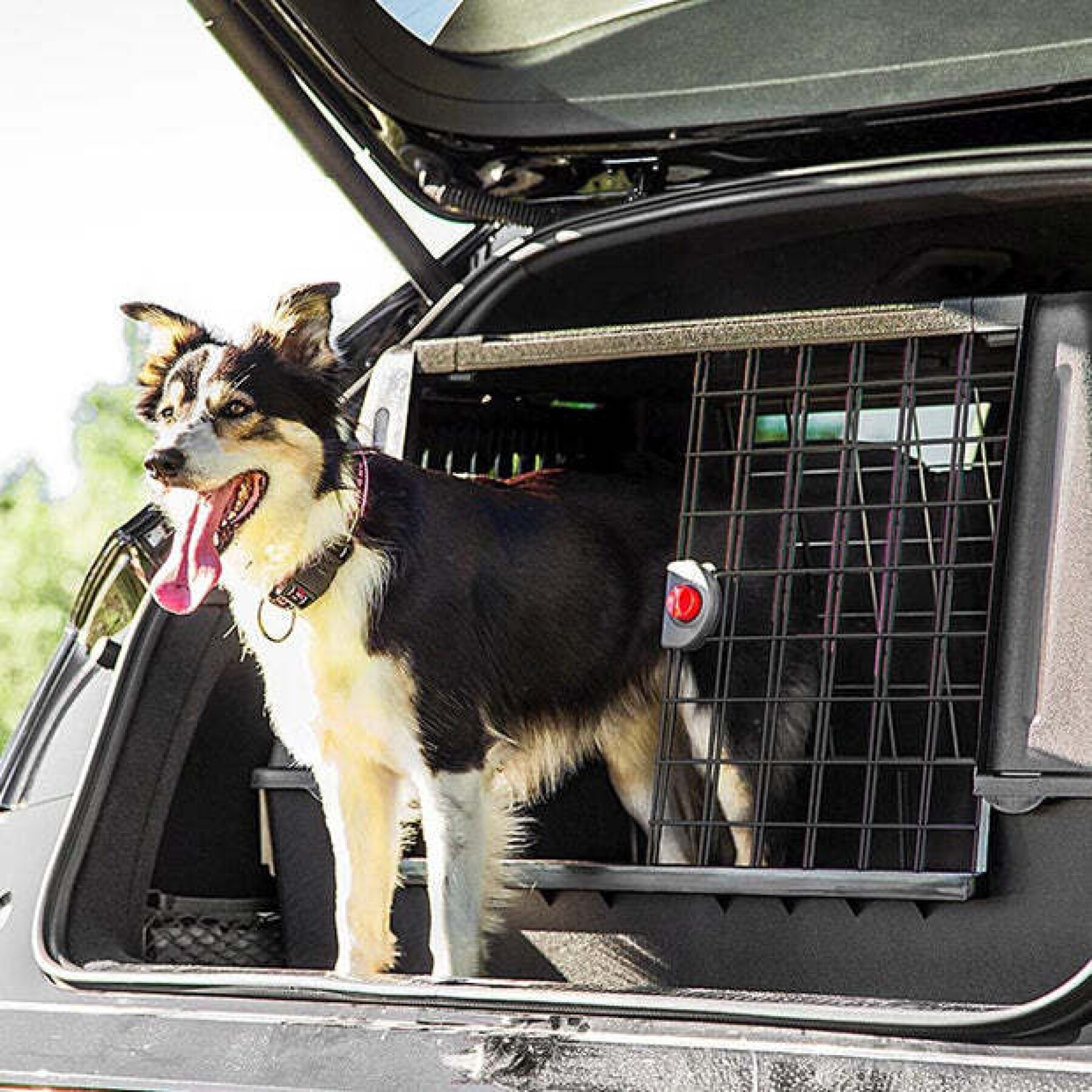 Hundetasche für den Transport im Auto Ferplast Atlas Scenic