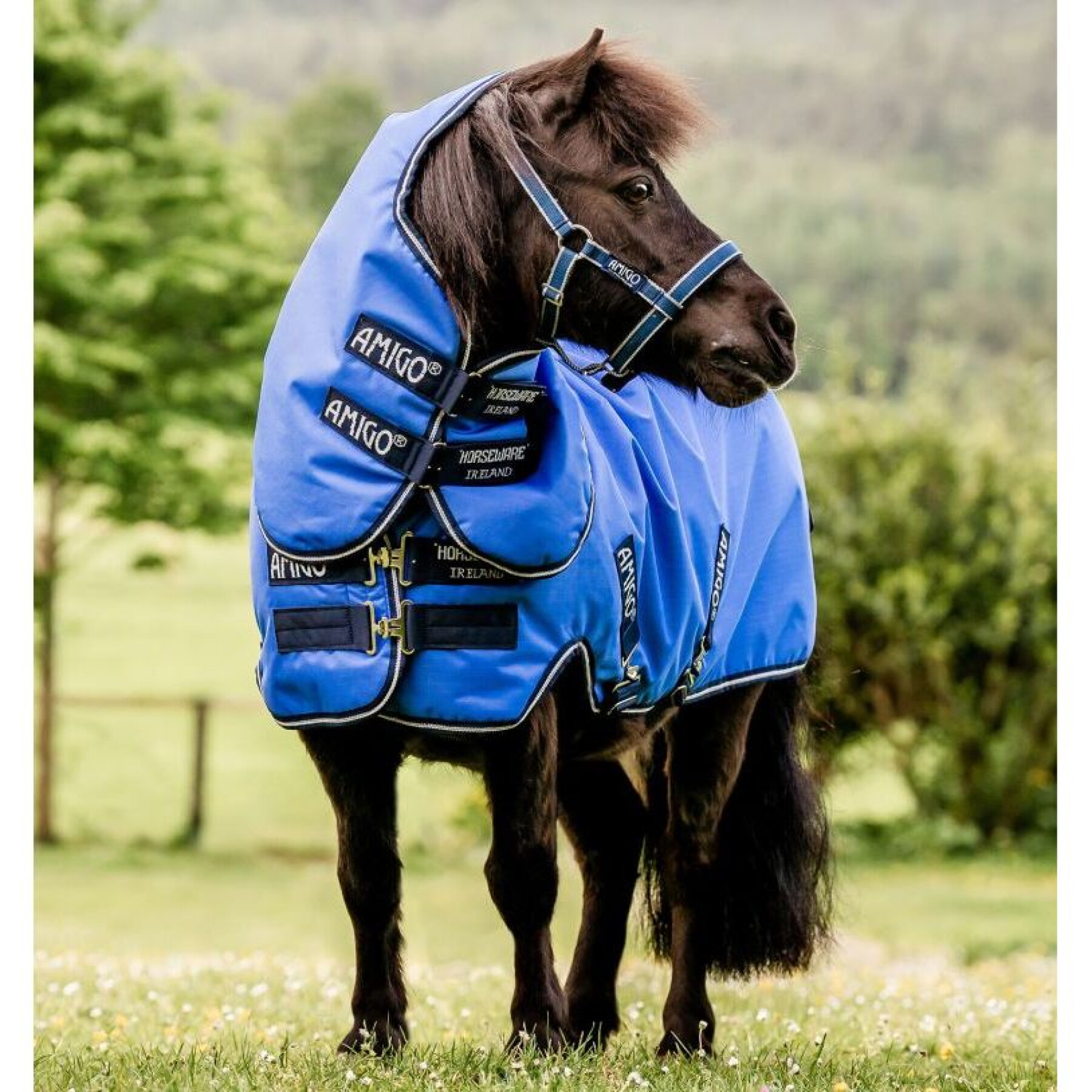 Outdoor-Decke für Pferde Horseware Amigo Hero 6 Petite Plus 0g