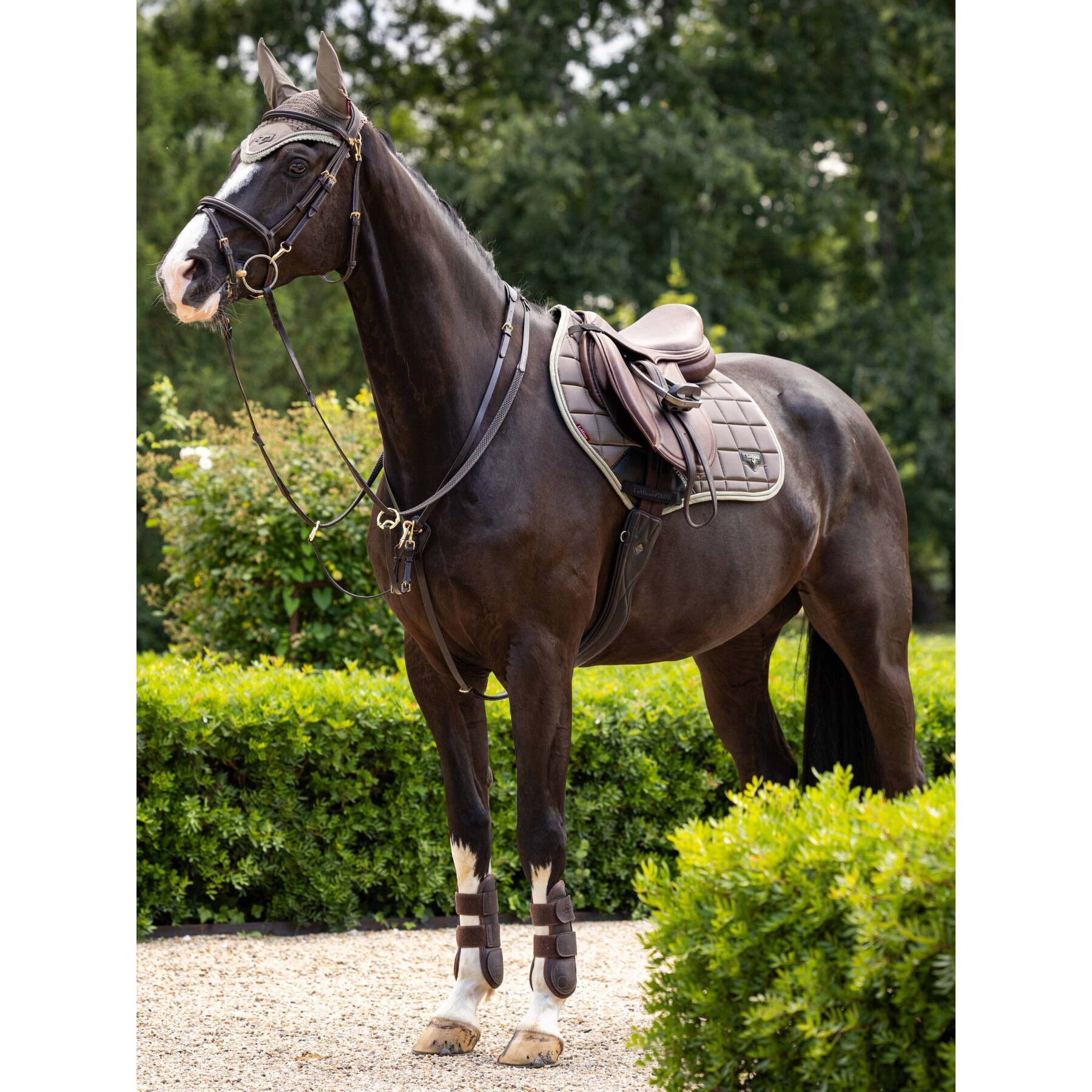 Satteldecke für Pferde LeMieux Loire Classic Close Contact