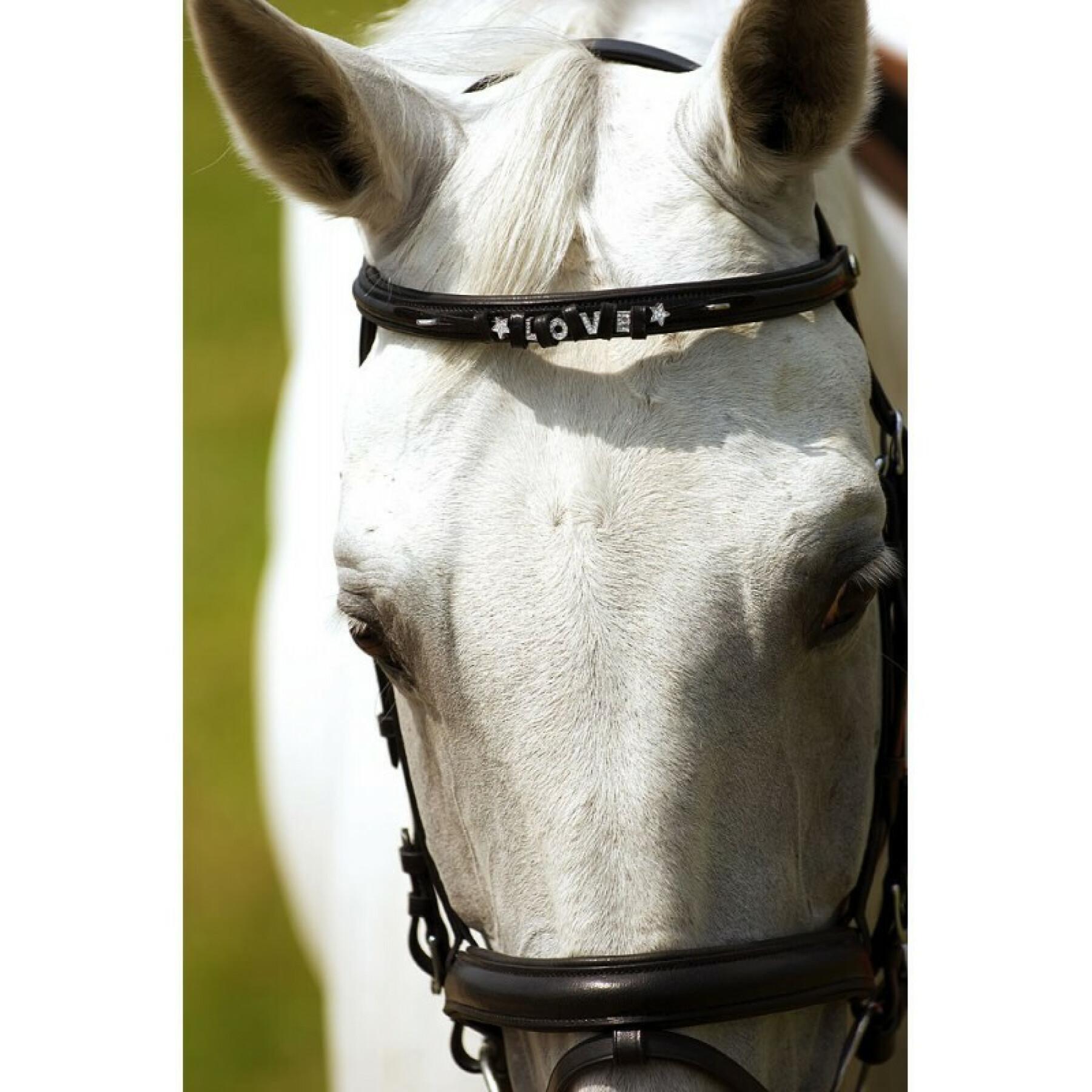 Stirnband für Pferd Norton Porte-lettres