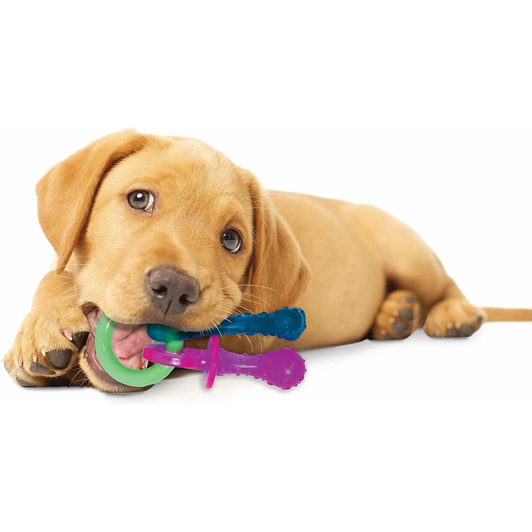Hundespielzeug Nylabone Puppy Teething Pacifier - Bacon XS