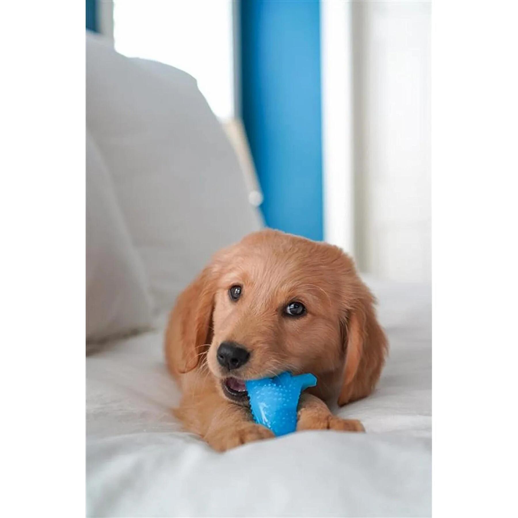 Hundespielzeug Nylabone Puppy Teething Dental Dino - Chicken Flavour S