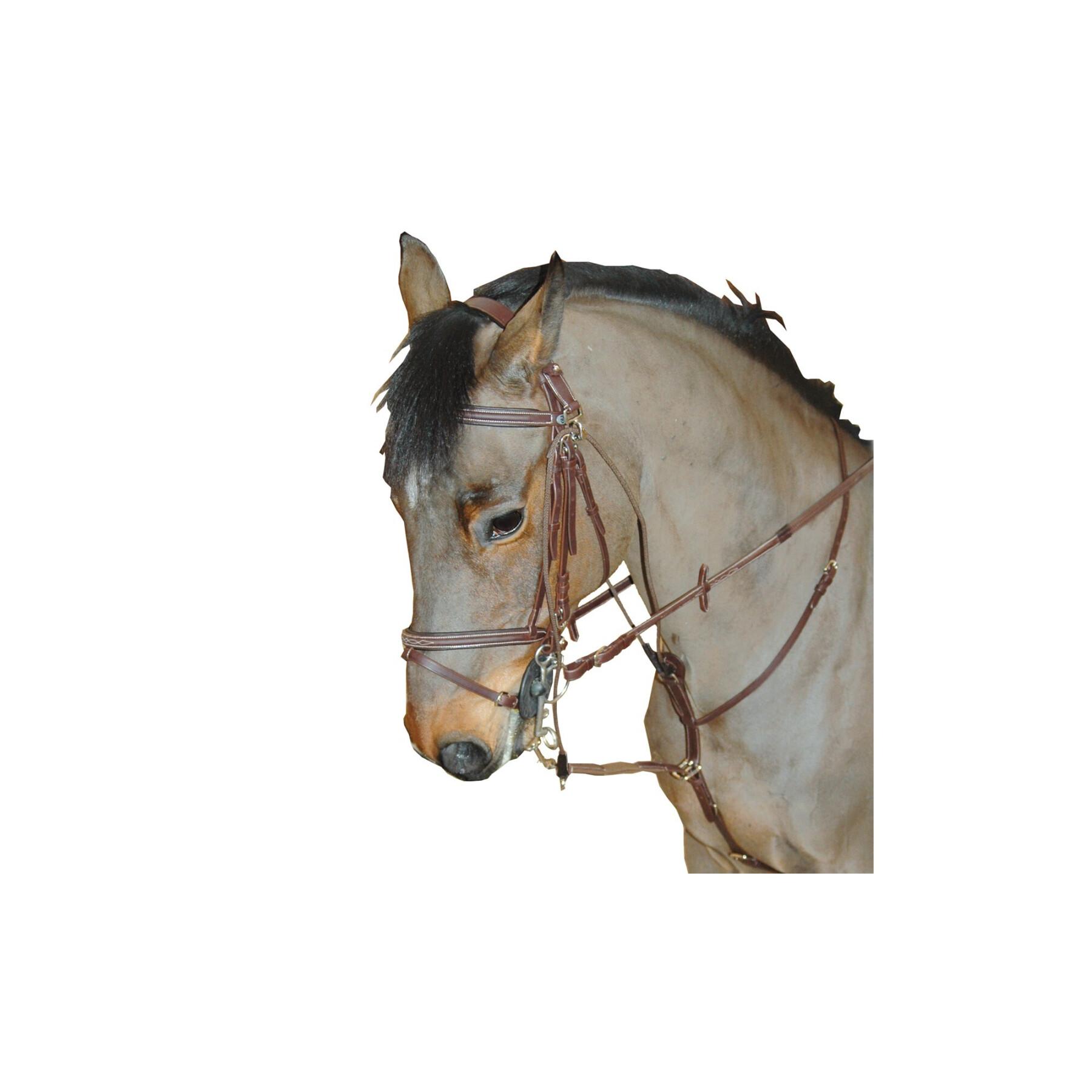 Schlauer Gogue für Pferde Privilège Equitation