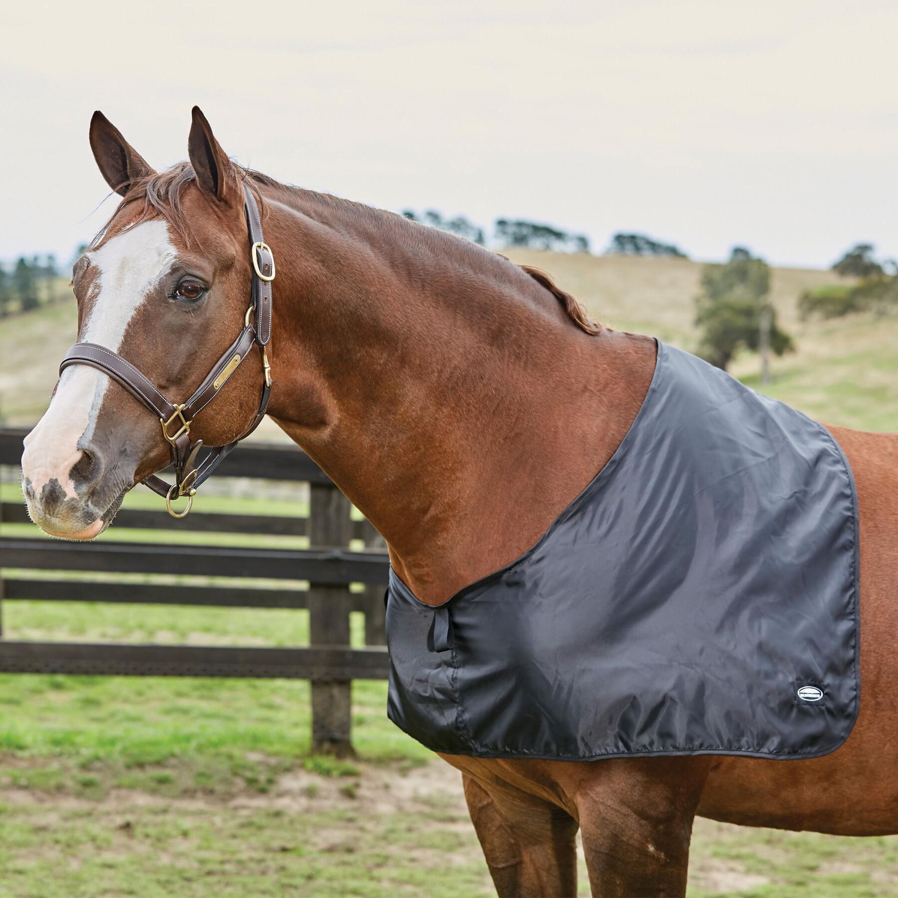 Satin-Schulterschutz für Pferde Weatherbeeta
