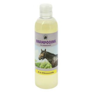 Shampoo für Pferde ODM Maréchal