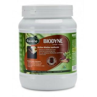 Nahrungsergänzungsmittel für Pferde Ravene Biodyne