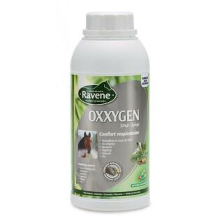 Nahrungsergänzungsmittel Atemwege für Pferd oxxygen Ravene
