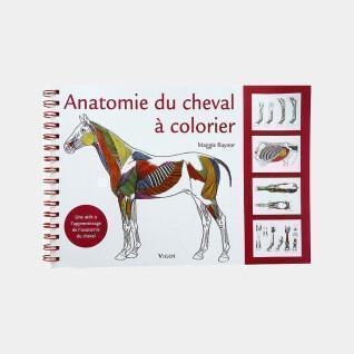 Malbuch Anatomie des Pferdes Ekkia