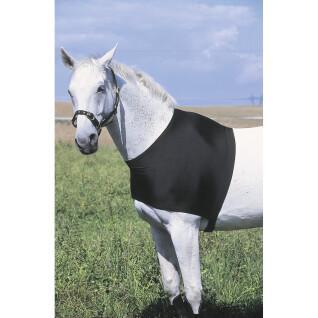 Schulterschutz für Pferde Equithème