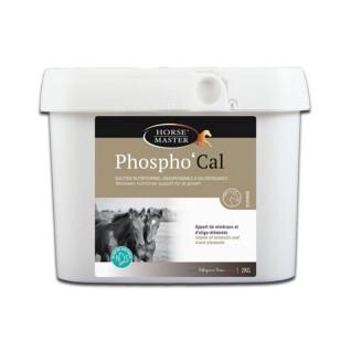 Nahrungsergänzungsmittel für Fohlen Horse Master Phosphocal