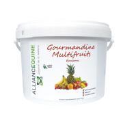 Gourmandine-Snacks für Pferde Alliance Equine Multifruits