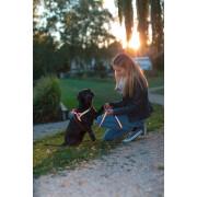 Reflektierendes Hundegeschirr für Norweger Kerbl