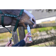 Nahrungsergänzungsmittel Darmparasitismus für Pferde Natural Innov Protect