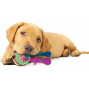 Hundespielzeug Nylabone Puppy Teething Pacifier - Bacon XS