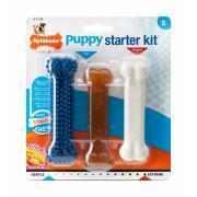 3er-Set Hundespielzeug Nylabone Puppy Starter Kit - 1 Puppybone Chicken / 1 Extreme Chew Chicken / 1 Dental Blue S