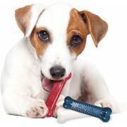 Hundespielzeug Nylabone Small Dog Dental Blue Chew - Bacon Chicken / Moderate Chew Origin XS