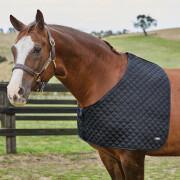 Schulterschutz für Pferde Weatherbeeta Deluxe