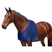 Schulterschutz für Pferde Weatherbeeta Deluxe